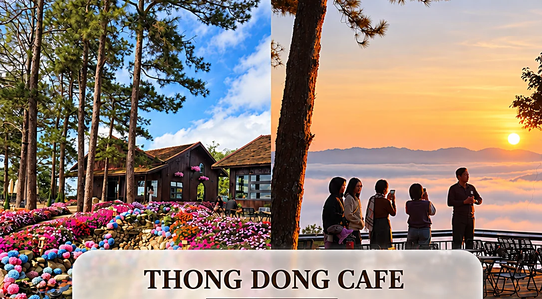 Quán cà phê săn mây giữa rừng thông Măng Đen lúc hoàng hôn