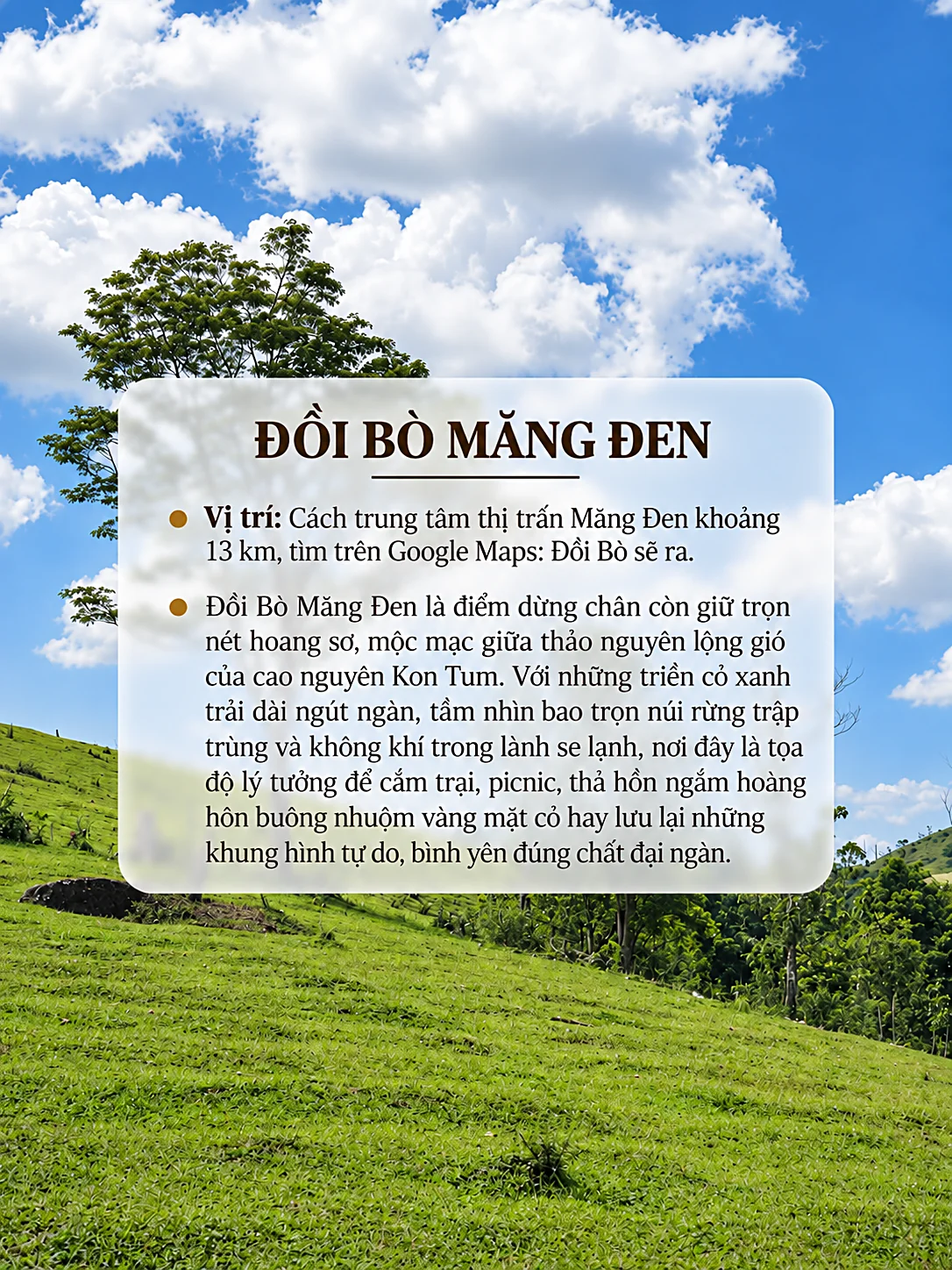 Thẻ thông tin Đồi Bò Măng Đen: cách trung tâm khoảng 13km