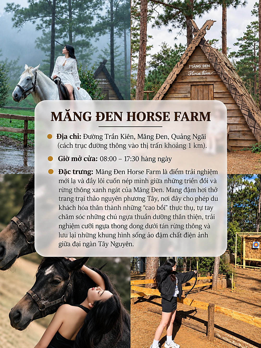 Thẻ thông tin Măng Đen Horse Farm: địa chỉ đường Trần Kiên, mở cửa 08:00–17:30