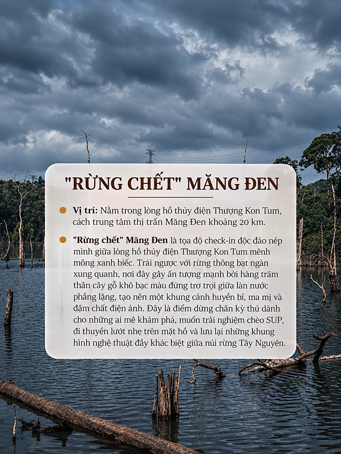 Thẻ thông tin Rừng Chết Măng Đen trong lòng hồ thủy điện Thượng Kon Tum