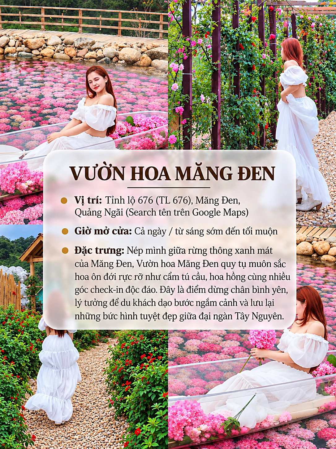 Thẻ thông tin Vườn Hoa Măng Đen trên Tỉnh lộ 676