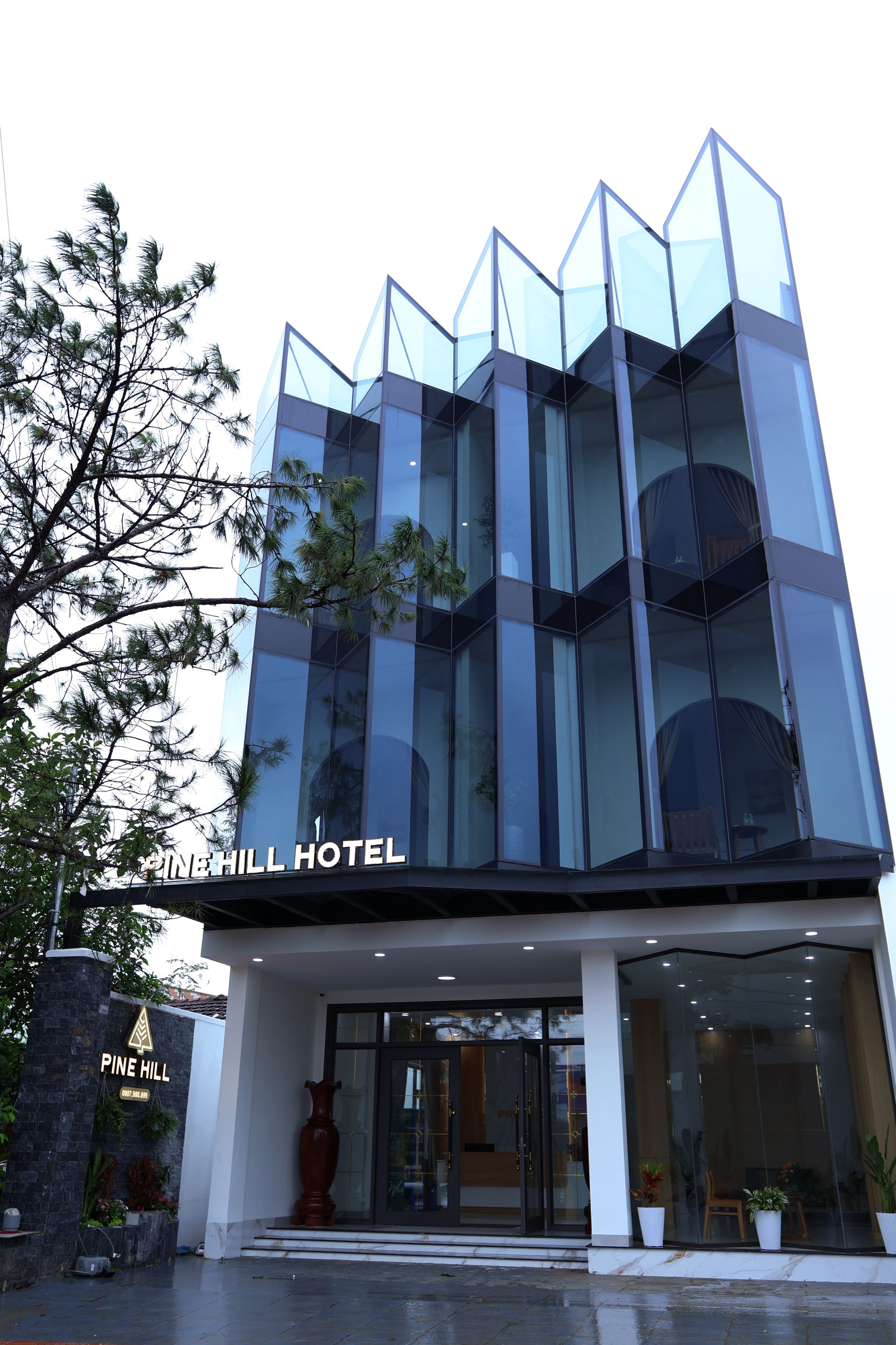 Pine Hill Retreat giữa rừng thông Măng Đen